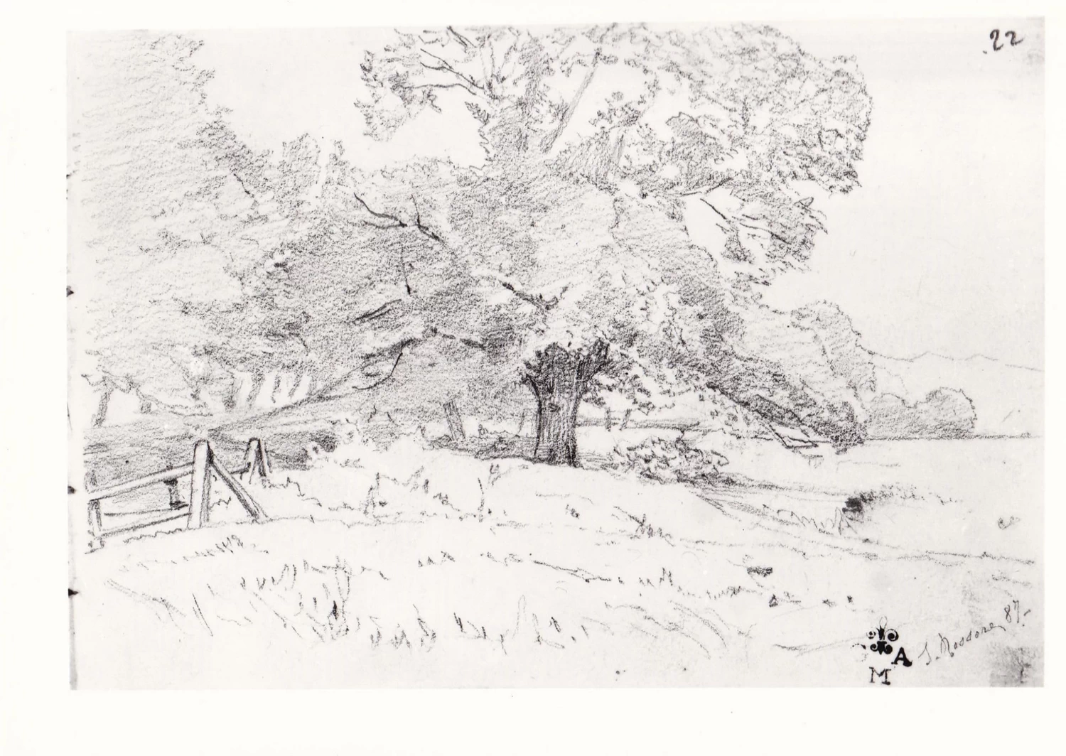 Scorcio della tenuta di San Rossore - Gallerie degli Uffizi, Firenze